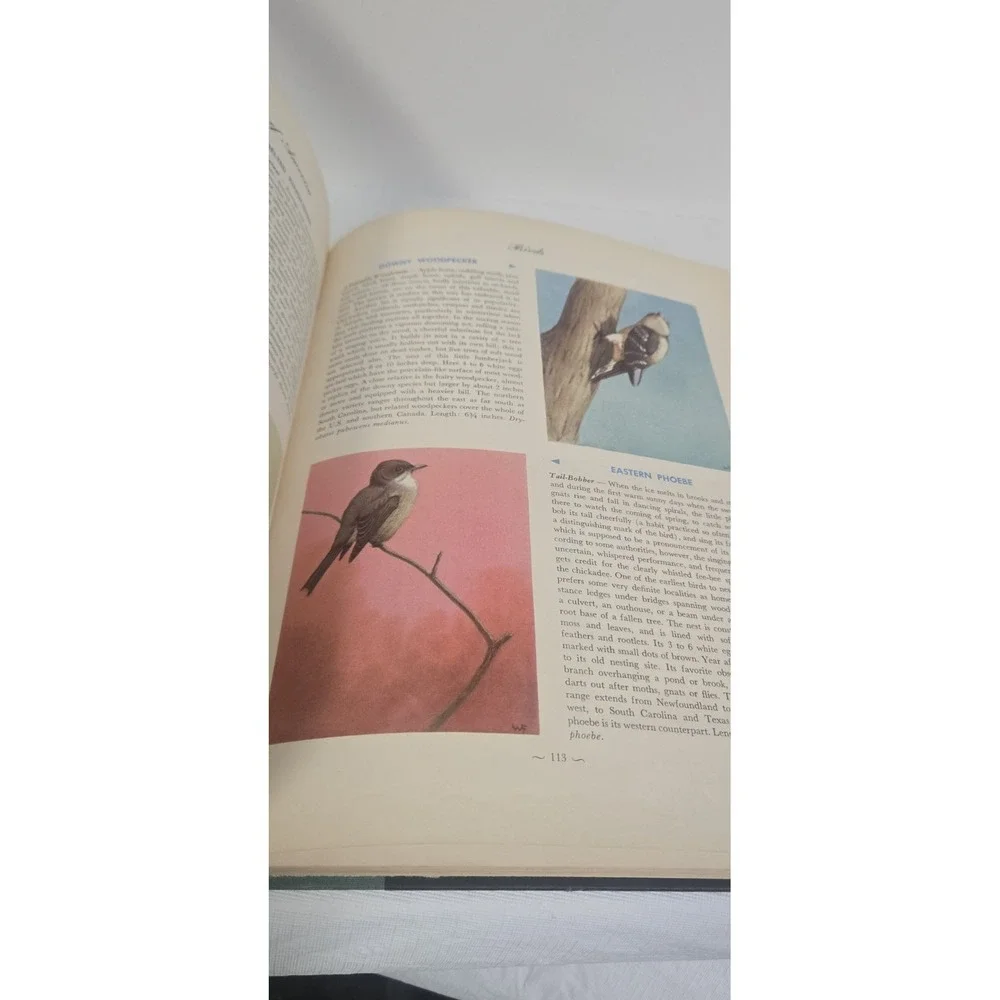 Hammonds Nature Atlas of America Vintage‎ 1952